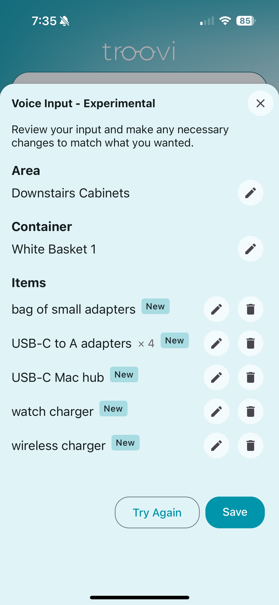 Voice Entry feature screenshot